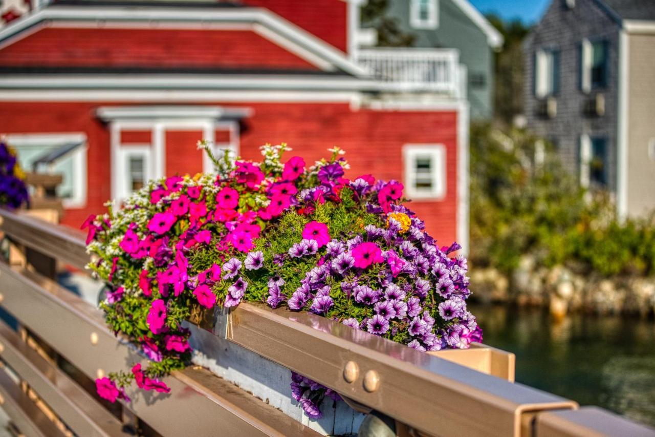 Quaint Bungalow Kennebunk Bagian luar foto